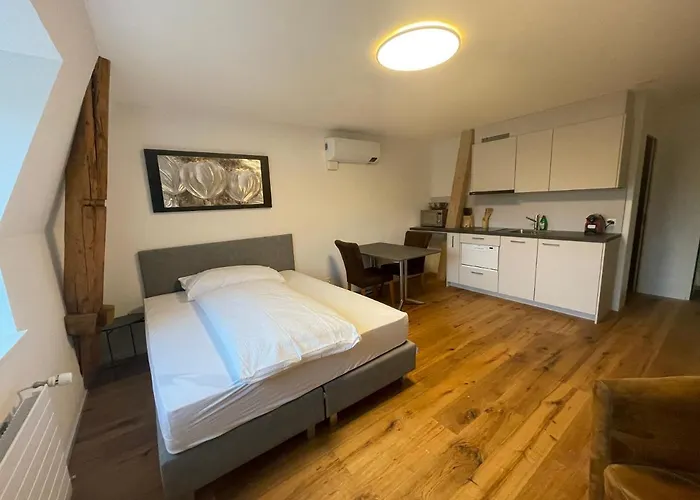 Schnyder's Studio_2 Apartament *